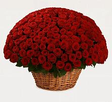 Премиум букет из: Розы в Мариинском Посаде